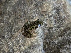 -将军关探险漂流