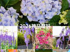 -盈香心动乐园