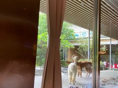 -南宁荔园维景国际酒店·荔园中餐厅