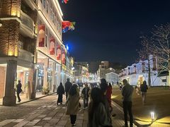 -岭南美术馆