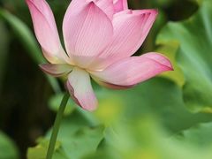 -长广溪湿地公园