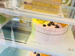 -维尔纳斯·生日蛋糕动物奶油冰淇淋蛋糕(人大店)