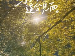 -北京市海淀区民政局婚姻登记处