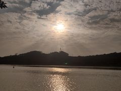 -鹤之洲湿地公园