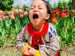 -长春公园(普阳街道)