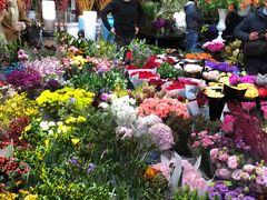 -双季花艺园艺市场(浦东店)