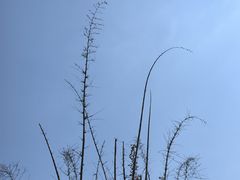 -孔雀湖生态旅游区