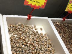 -蚝专家(北滘店)