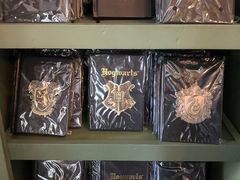 -哈利波特魔法世界