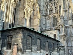 -斯蒂芬主教座堂(Stephansdom)