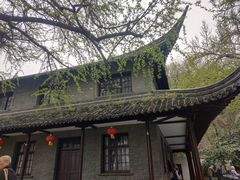 -伯先公园