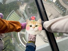 -东方明珠广播电视塔