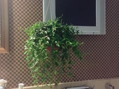 -月亮河温泉度假酒店