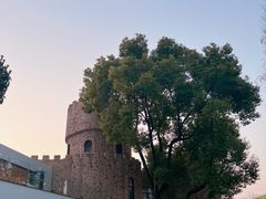 -J Create城市露营咖啡·简餐·宠物(上海动物园店)