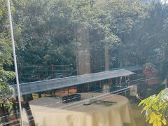 -侨美·唐荔园·40年地道粤菜