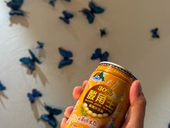 -金孔雀德宏傣味餐馆(魏公村店)