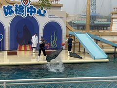 -秦皇岛乐岛海洋王国