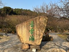 -香雪海