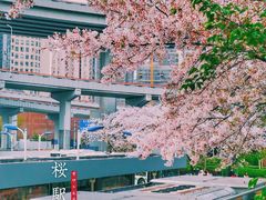 -上海南浦大桥长途旅游客运站