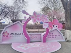 -桃花堤公园