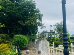 -平湖九龙山旅游度假区
