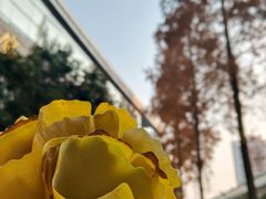 -浙江工业大学（朝晖校区）-游泳馆