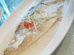 太湖大白鱼-江南原著(中联广场店)