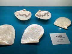 -青岛贝壳博物馆
