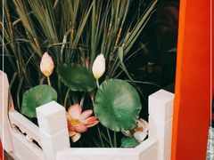 -芦月轩羊蝎子(劲松店)