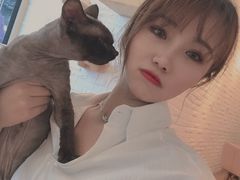 -momokira米努特·德文卷毛猫·棉花面纱犬