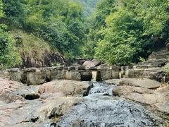 -广州白江湖森林公园