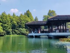 -西湖游船