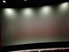 -大光明新国际影城(青浦吾悦店)