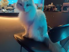 -暗楼·剧本杀·桌游