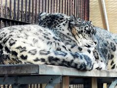 -青藏高原野生动物园