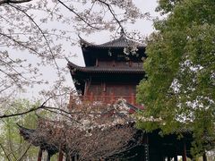 -堤角公园