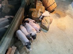 -顺德南宏海立方海洋公园