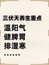 -香薇妮丝·定制减肥·身材管理