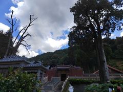 -灵光寺