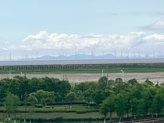 -春花秋色城市公园