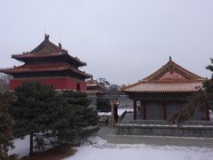 -北陵公园