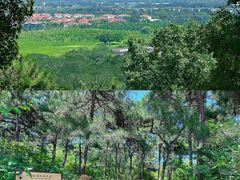 -北京西山国家森林公园