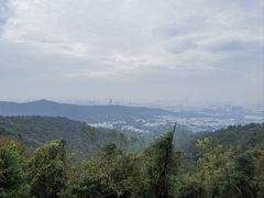 -旺山景区