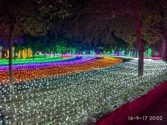 -洛阳郁金香牡丹园