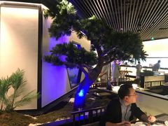 -绿茶餐厅(成都大悦城店)