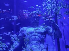 -正佳极地海洋世界