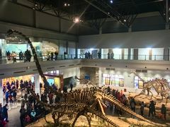 -自贡恐龙博物馆