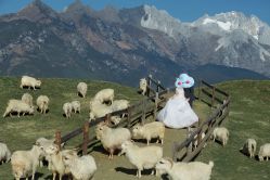 -北遇映画PHOTO GRAPHY STUDIO