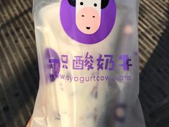 -一只酸奶牛(八一路店)