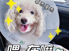 -美联众合动物医院·24h转诊中心